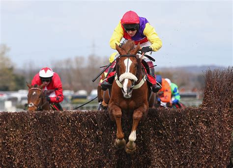 longest odds grand national winner|Grand National records: Fastest winning time, fewest .
